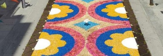 Catifa floral amb els Catifaires de L'Artesà | +TRÀD Primavera